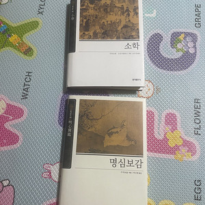 홍익출판사 명심보감, 소학