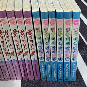 용이 피우는 꽃, 열두 비색 팔레트 택포 3.5