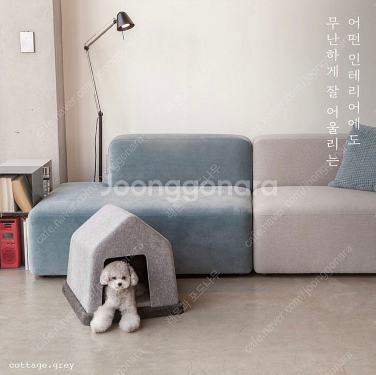건축가가 만든 강아지집(거의새거)--1