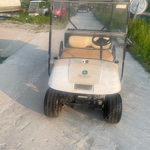 이지고 골프카트 2인승 전동카트