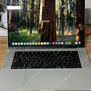 맥북프로 16인치 M1 Max 실버 32GB 512GB SSD 프로그램 설치 가능