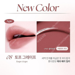 폰들리 슬립 틴트, 씨스터앤 립블러, 톤핏선 글로시 밤 / 무배