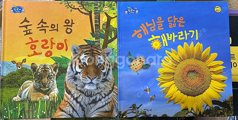 쫑알이 자연관찰 70권 (세이펜버전)--1