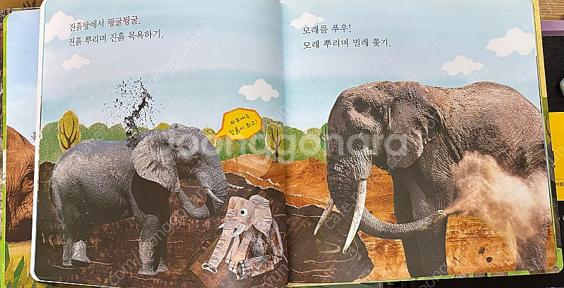 쫑알이 자연관찰 70권 (세이펜버전)--2
