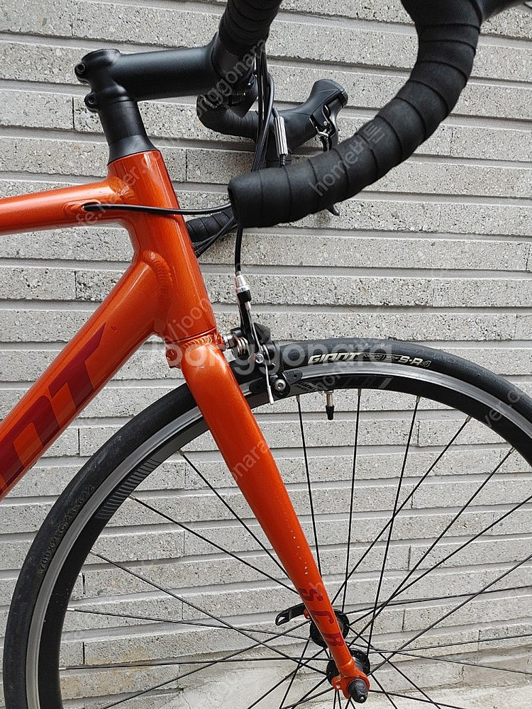 상태 좋은 23년 자이언트 scr2 입문 로드자전거 m--1