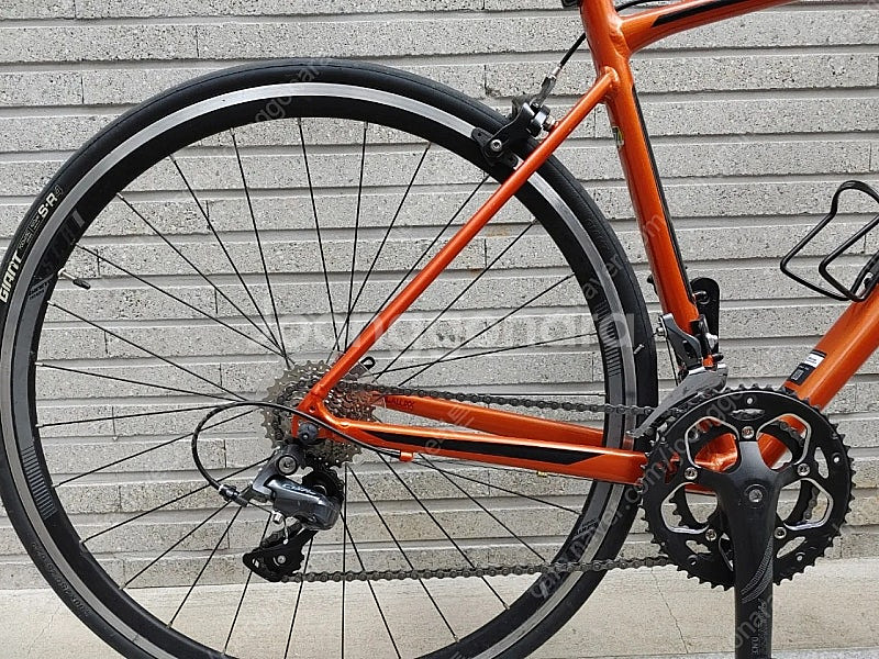 상태 좋은 23년 자이언트 scr2 입문 로드자전거 m--5