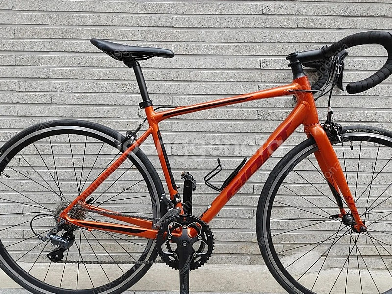 상태 좋은 23년 자이언트 scr2 입문 로드자전거 m--7