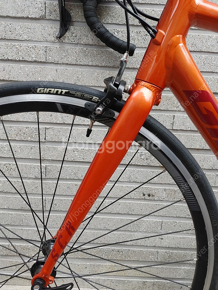 상태 좋은 23년 자이언트 scr2 입문 로드자전거 m--9