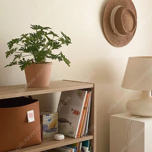 이케아 빌리 자작나무색상