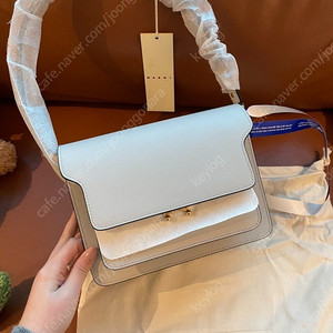 마르니 트렁크백 펠리칸