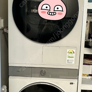 삼성 비스포크 세탁기 건조기 세트(24kg, 20kg)