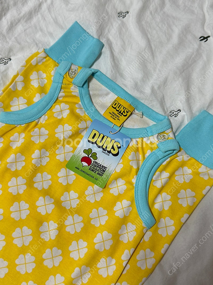 던스 노랑 클로버 덩가리--0