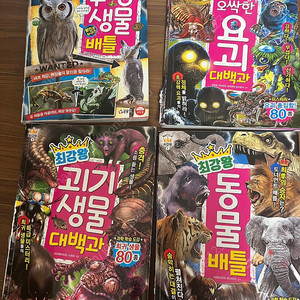 최강왕 시리즈 13권