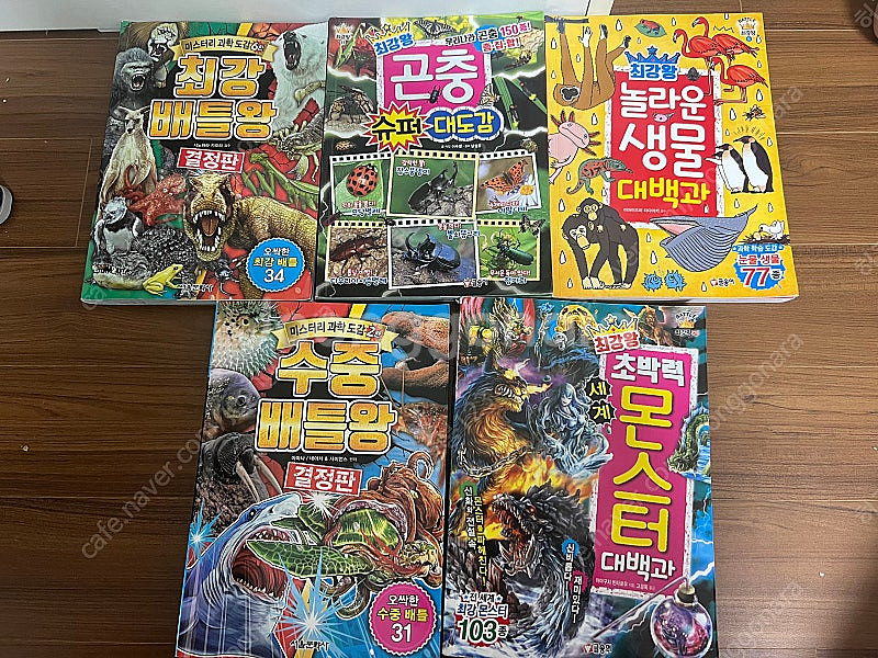 최강왕 시리즈 13권--1