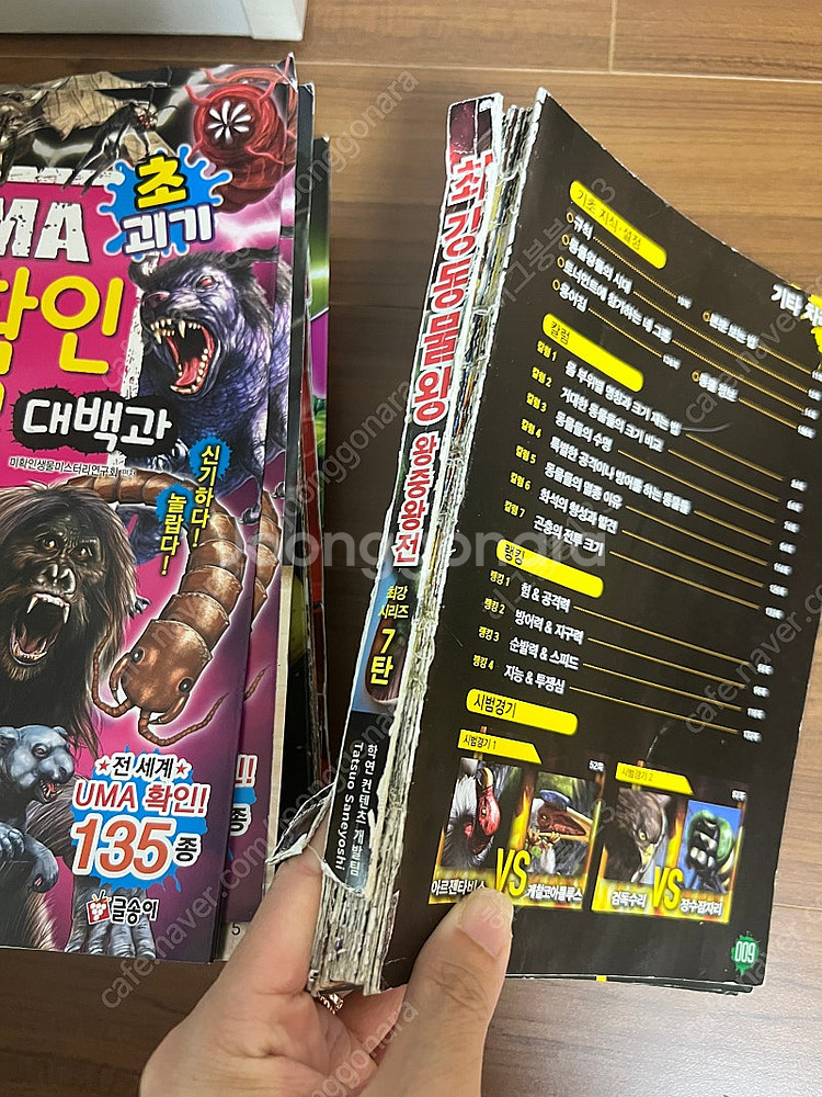 최강왕 시리즈 13권--2