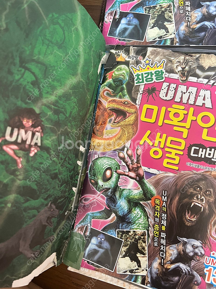 최강왕 시리즈 13권--3