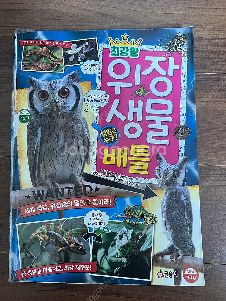 최강왕 시리즈 13권--8