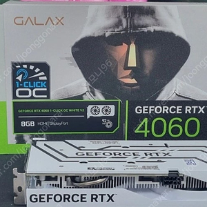 GALAX RTX 4060 화이트 OC V2 8GB