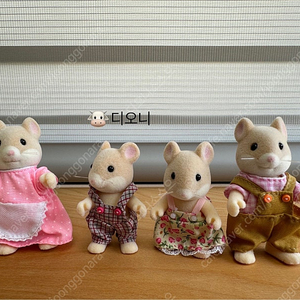실바니안 올드 햄스터가족