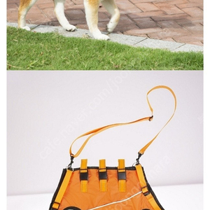 강아지 재활 보조 하네스 XS