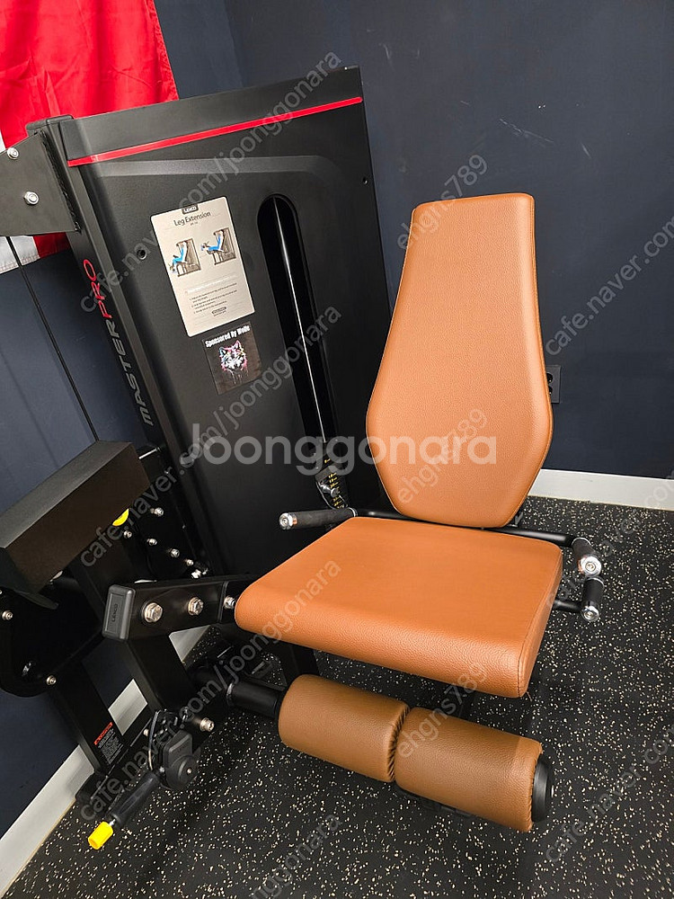 렉스코 레그익스텐션--0