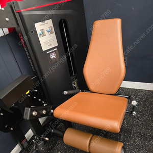 렉스코 레그익스텐션