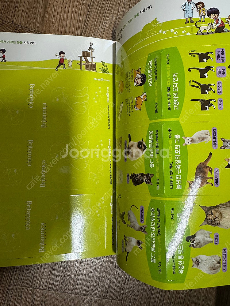 브리태니커 만화백과 50권 활용문제집 50권 ​새책수준--8
