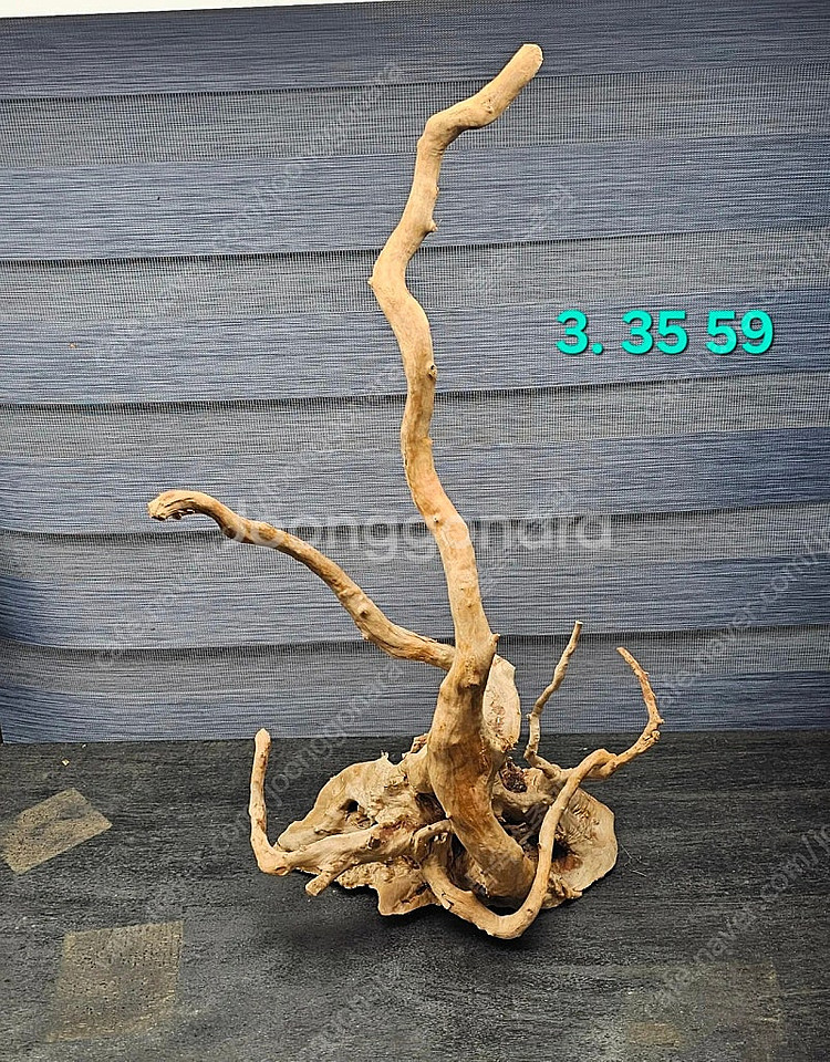 중대형 굵직 가지유목 팝니다(택포 3만)--5