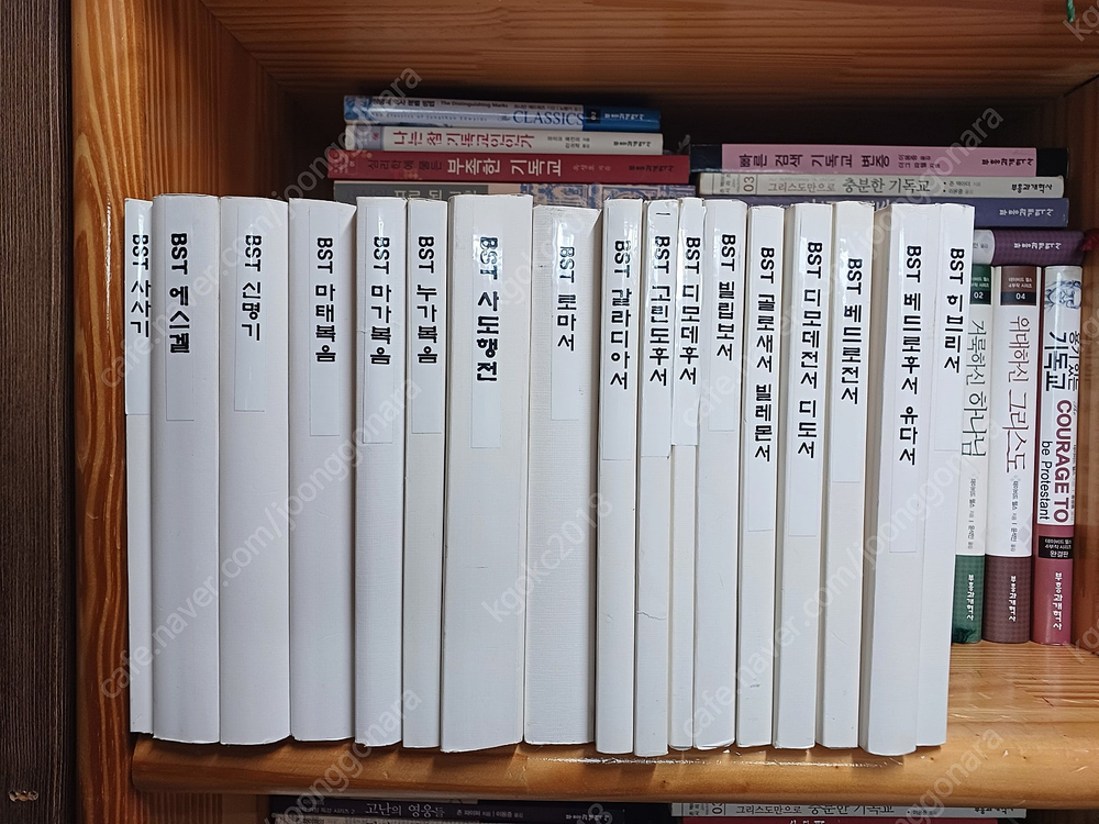 성경강해집/설교집 이미지