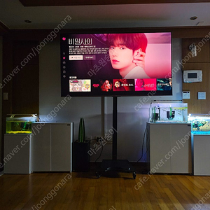스마트 TV + 높이조절, 이동식 카멜마운트 제품 판매합니다.