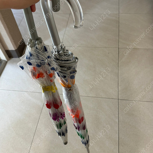 토스 버블 우산 성인용과 유아용