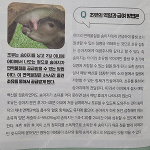 한우정액