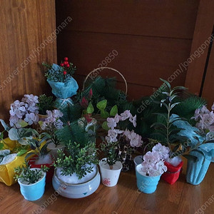 예쁜벚꽃조화및여러종류인테리어조화20개저렴히9천원환하게분위기바꿔보기(수원)
