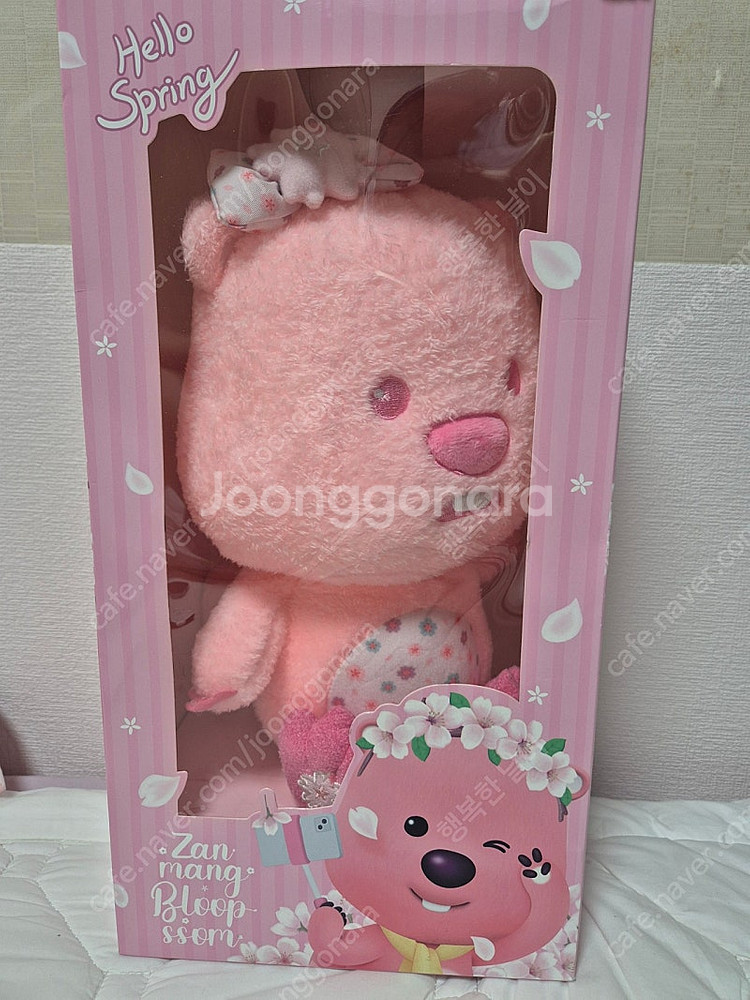 루피 벚꽃 에디션--0