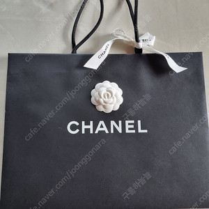 샤넬 쇼핑백