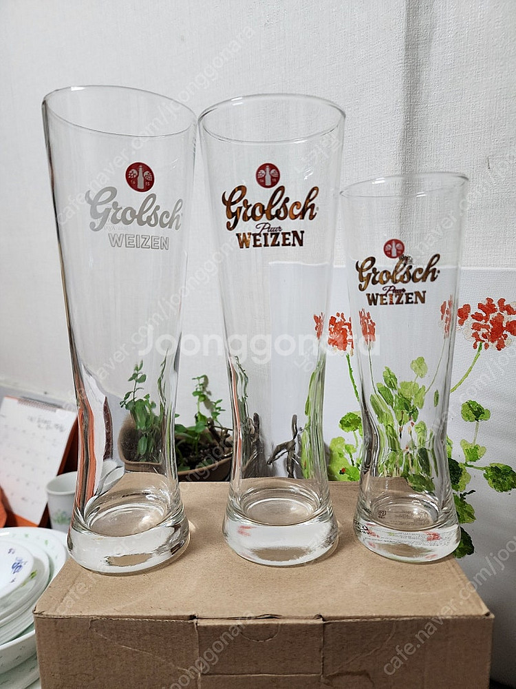 그롤쉬바이젠 맥주잔,개당가--5