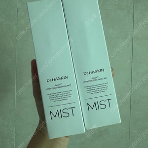 닥터하스킨 페이셜 미스트 2개 일괄