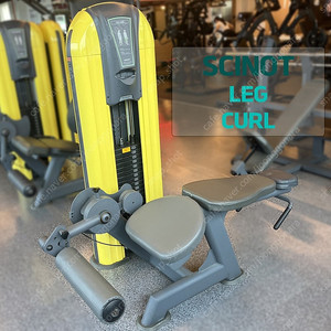 [중고] 레그 컬 사노트 리퍼작업 SCINOT LEG CURL 다리운동 허벅지운동 하체운동 홈트 홈짐