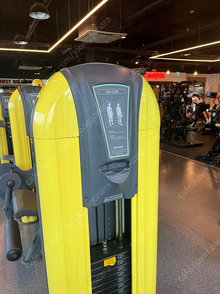 [중고] 레그 컬 사노트 리퍼작업 SCINOT LEG CURL 다리운동 허벅지운동 하체운동 홈트 홈짐--3