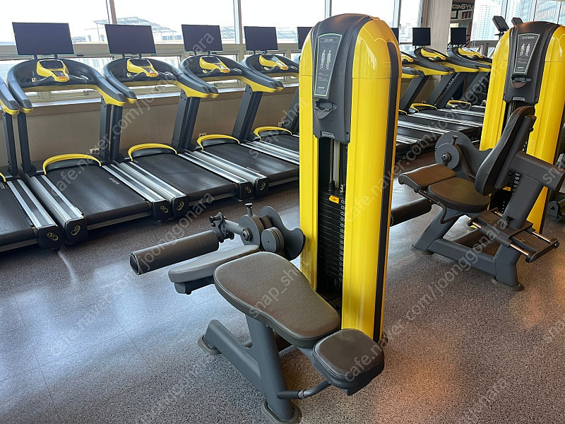 [중고] 레그 컬 사노트 리퍼작업 SCINOT LEG CURL 다리운동 허벅지운동 하체운동 홈트 홈짐--4