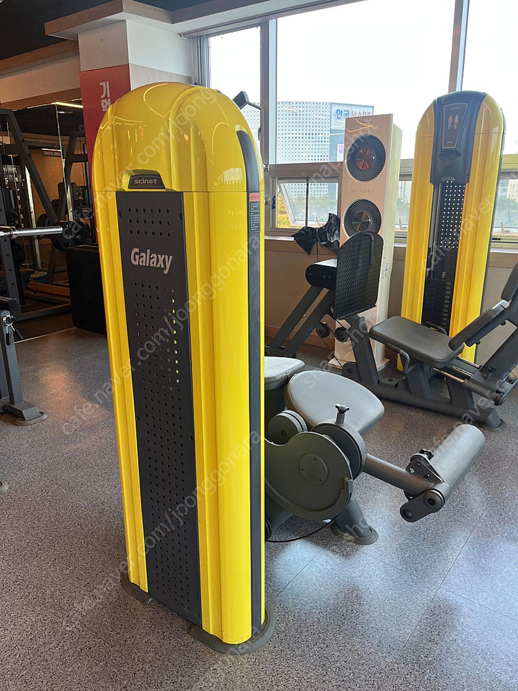 [중고] 레그 컬 사노트 리퍼작업 SCINOT LEG CURL 다리운동 허벅지운동 하체운동 홈트 홈짐--7