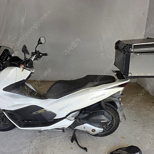 pcx125 18년식 묻따