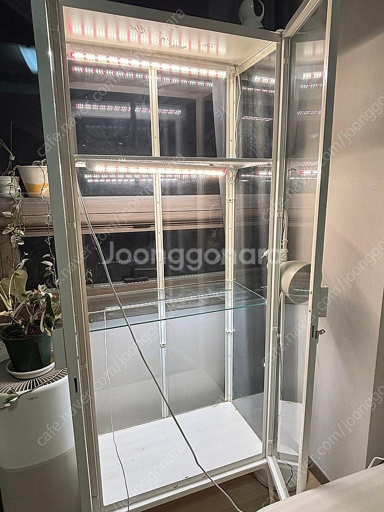 이케아 밀스보 온실 식물등3개 설치완--0