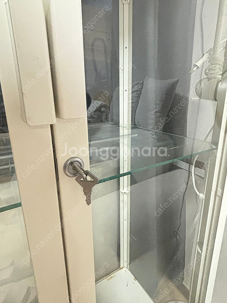 이케아 밀스보 온실 식물등3개 설치완--2