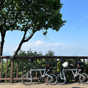 가격내림 - 미니벨로 버디 뉴 클래식 실버 팝니다.