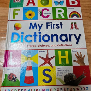 영어원서 (dk사전, 디즈니,리틀프린세스, DK Dictionary, look & find, peaunts)