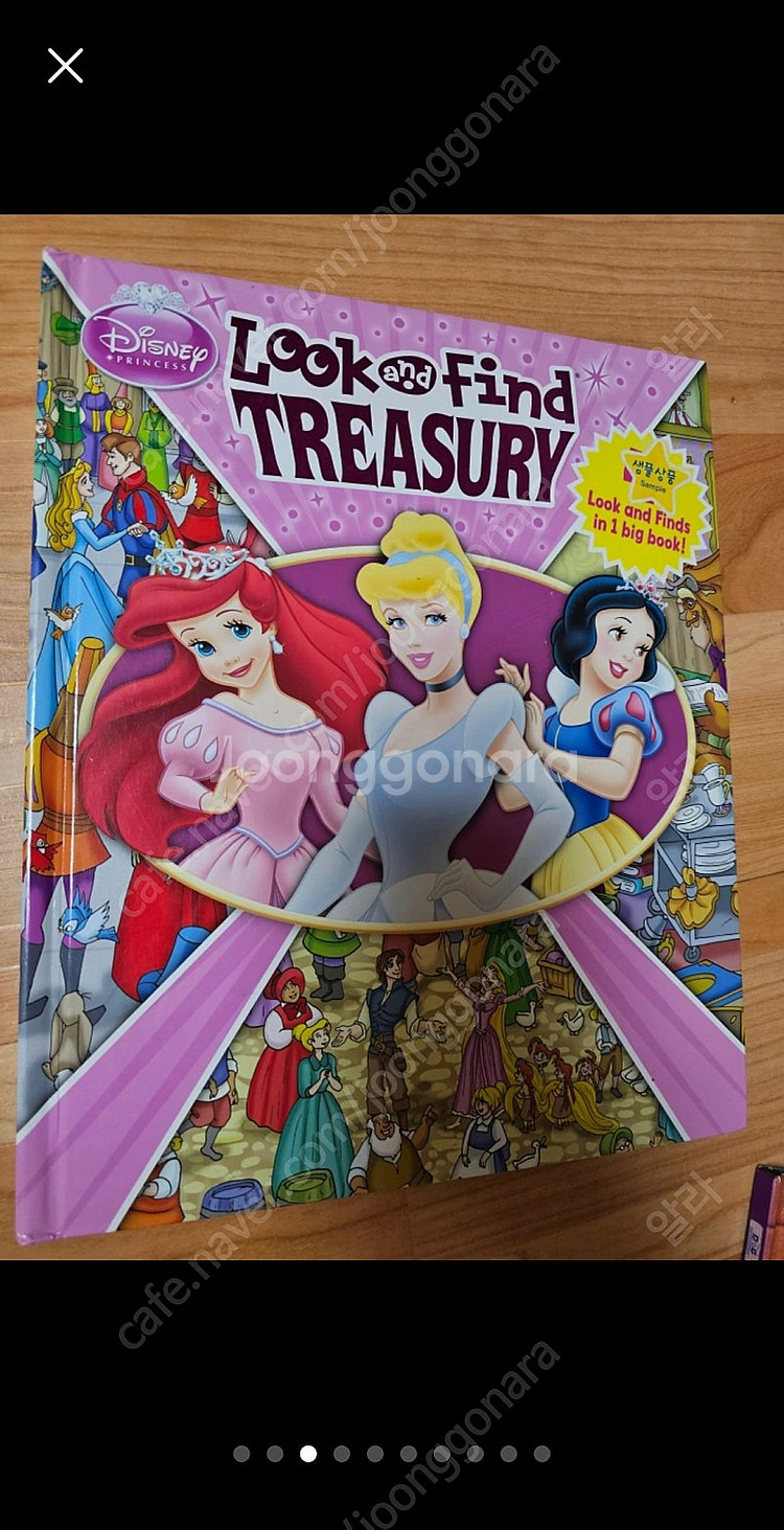 영어원서 (dk사전, 디즈니,리틀프린세스, DK Dictionary, look & find, peaunts)--2