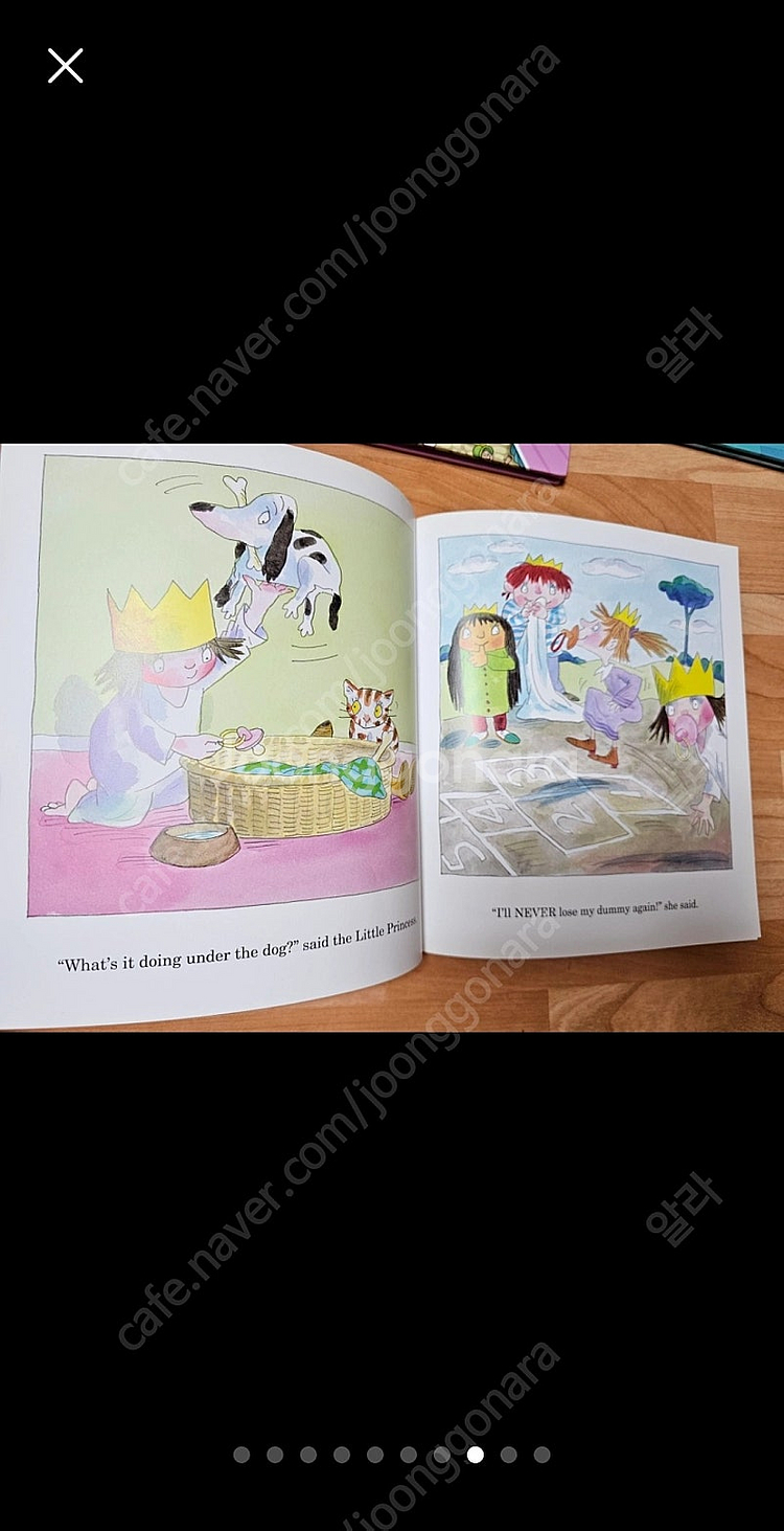 영어원서 (dk사전, 디즈니,리틀프린세스, DK Dictionary, look & find, peaunts)--7