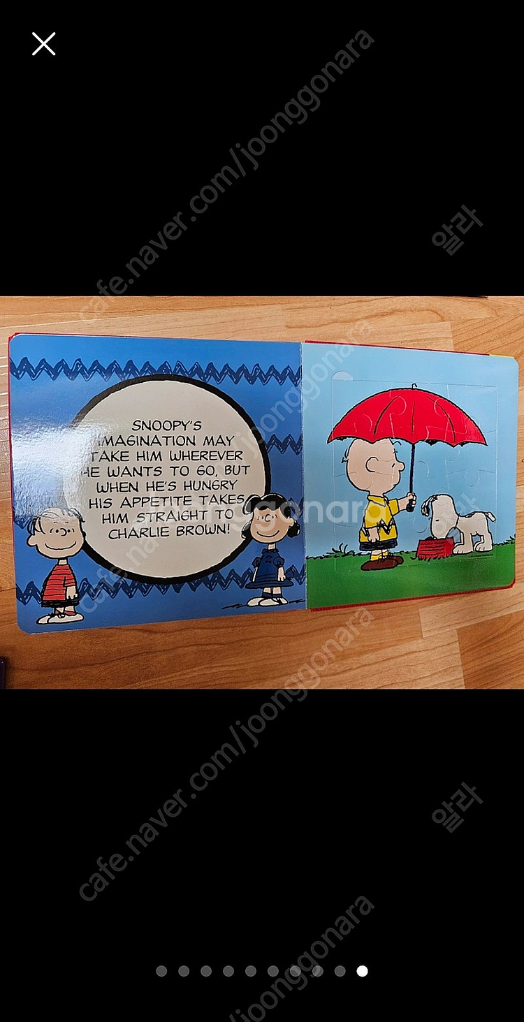 영어원서 (dk사전, 디즈니,리틀프린세스, DK Dictionary, look & find, peaunts)--9