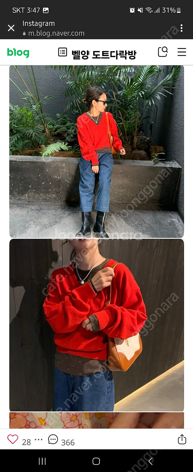 프롬도트 앵콜플라워티. 브이니트 일괄 급처--2